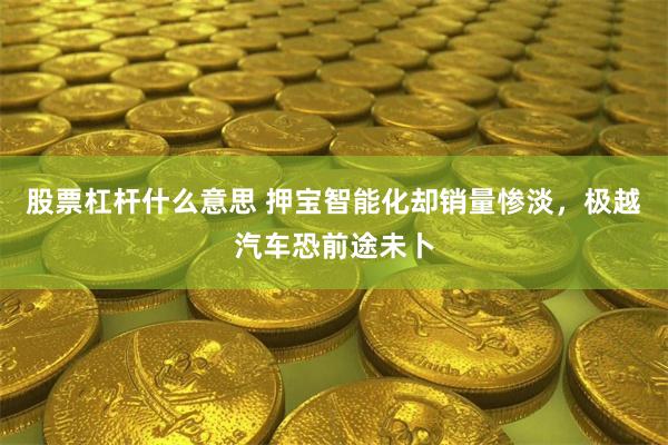 股票杠杆什么意思 押宝智能化却销量惨淡，极越汽车恐前途未卜