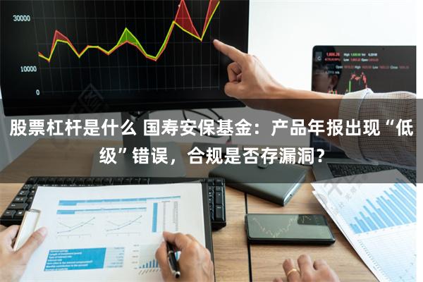 股票杠杆是什么 国寿安保基金：产品年报出现“低级”错误，合规是否存漏洞？