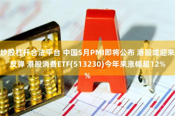 炒股杠杆合法平台 中国5月PMI即将公布 港股或迎来反弹 港股消费ETF(513230)今年来涨幅超12%