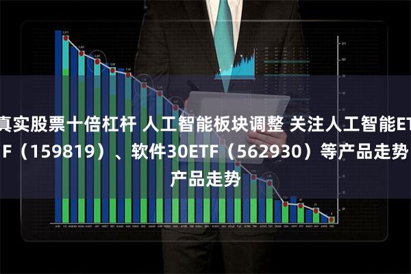真实股票十倍杠杆 人工智能板块调整 关注人工智能ETF（159819）、软件30ETF（562930）等产品走势