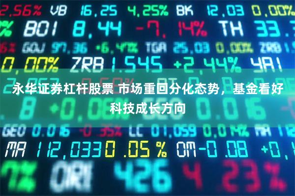 永华证券杠杆股票 市场重回分化态势，基金看好科技成长方向