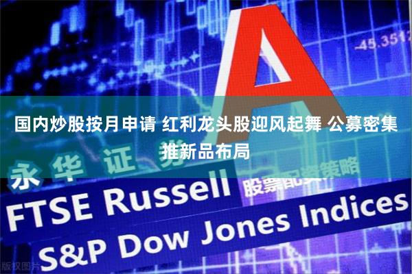 国内炒股按月申请 红利龙头股迎风起舞 公募密集推新品布局