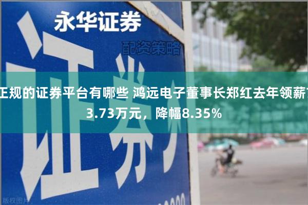 正规的证券平台有哪些 鸿远电子董事长郑红去年领薪73.73万元，降幅8.35%