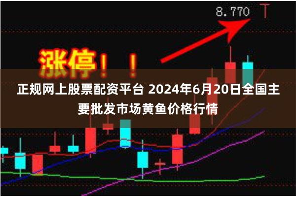 正规网上股票配资平台 2024年6月20日全国主要批发市场黄鱼价格行情