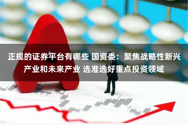 正规的证券平台有哪些 国资委：聚焦战略性新兴产业和未来产业 选准选好重点投资领域