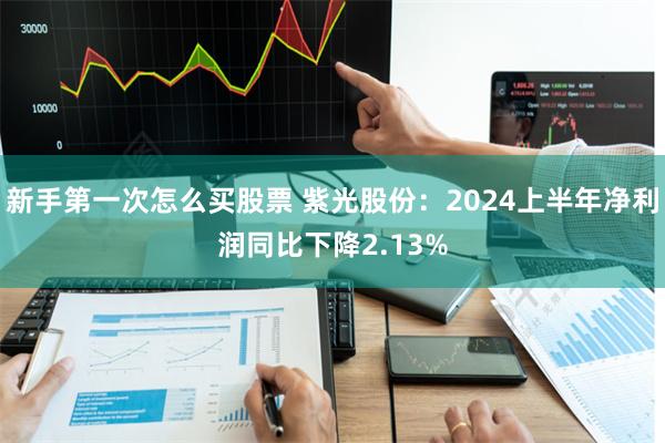 新手第一次怎么买股票 紫光股份：2024上半年净利润同比下降2.13%