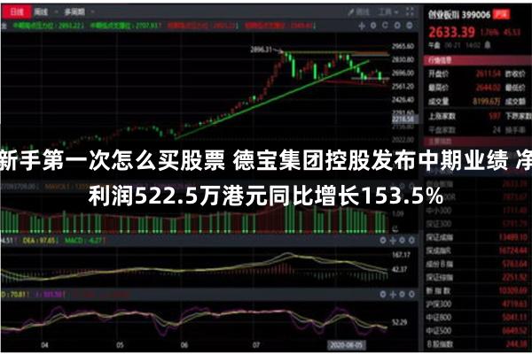 新手第一次怎么买股票 德宝集团控股发布中期业绩 净利润522.5万港元同比增长153.5%