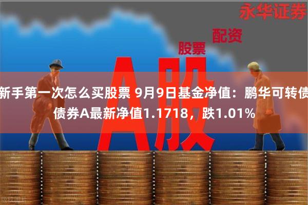 新手第一次怎么买股票 9月9日基金净值：鹏华可转债债券A最新净值1.1718，跌1.01%