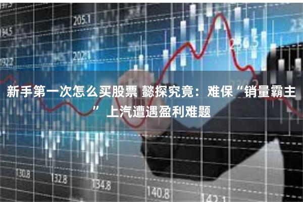 新手第一次怎么买股票 懿探究竟：难保“销量霸主” 上汽遭遇盈利难题