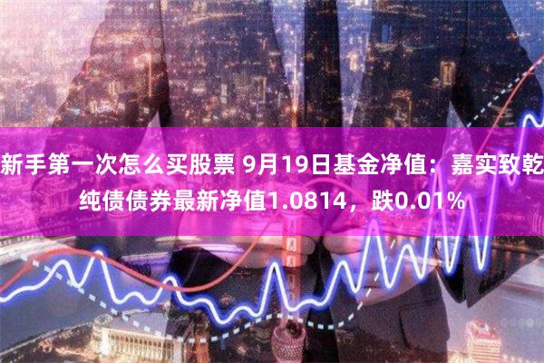 新手第一次怎么买股票 9月19日基金净值：嘉实致乾纯债债券最新净值1.0814，跌0.01%