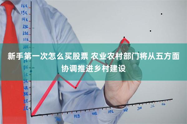 新手第一次怎么买股票 农业农村部门将从五方面协调推进乡村建设