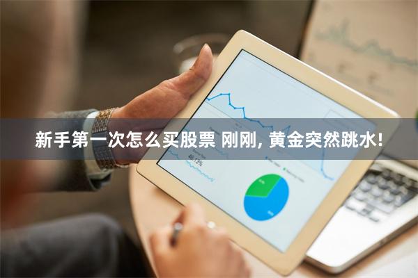 新手第一次怎么买股票 刚刚, 黄金突然跳水!