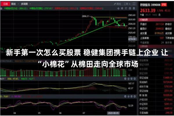 新手第一次怎么买股票 稳健集团携手链上企业 让“小棉花”从棉田走向全球市场