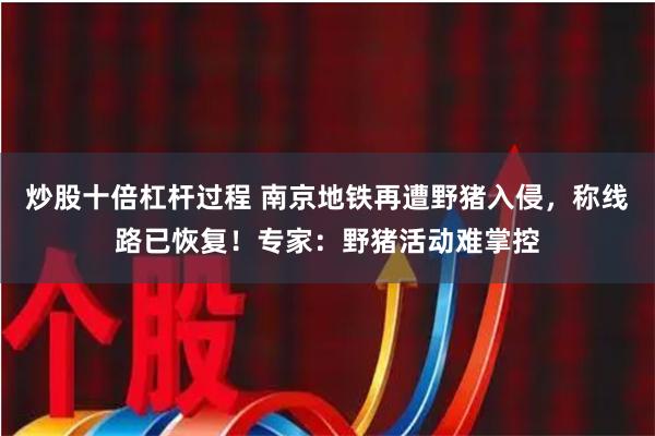 炒股十倍杠杆过程 南京地铁再遭野猪入侵，称线路已恢复！专家：野猪活动难掌控