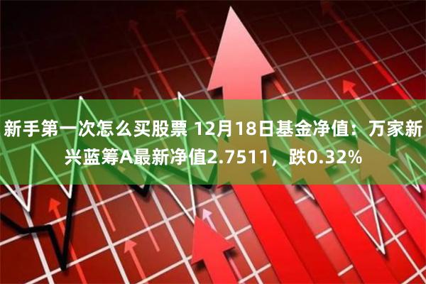 新手第一次怎么买股票 12月18日基金净值：万家新兴蓝筹A最新净值2.7511，跌0.32%