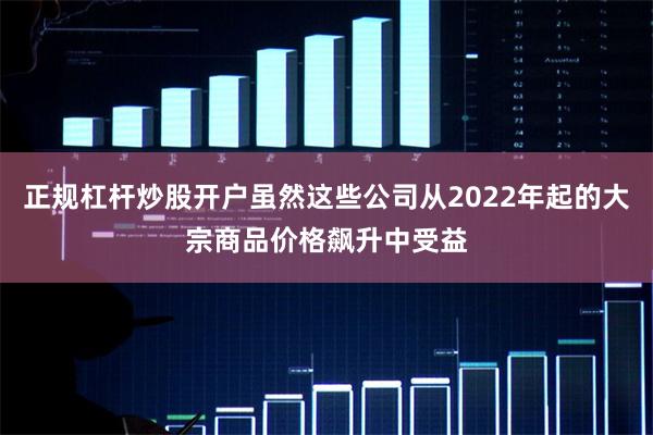 正规杠杆炒股开户虽然这些公司从2022年起的大宗商品价格飙升中受益