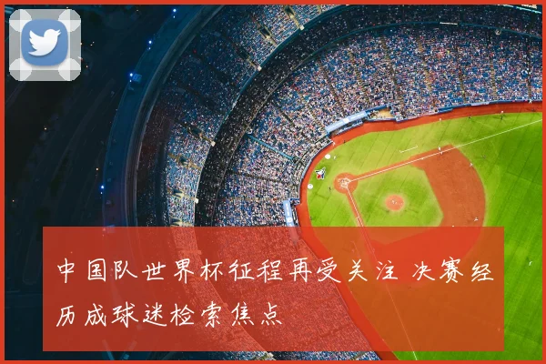 中国队世界杯征程再受关注 决赛经历成球迷检索焦点