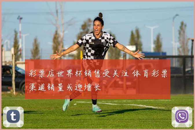 彩票店世界杯销售受关注 体育彩票渠道销量或迎增长